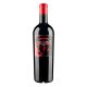 Caballo Loco Grand Cru Maipo Andes
